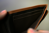 The Rogue's Ultimate Magic Wallet